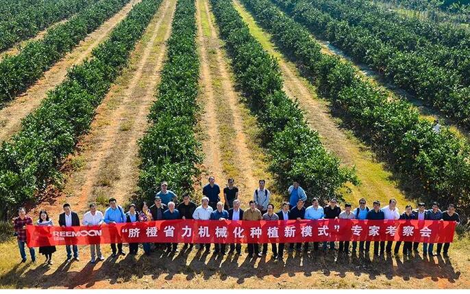 綠萌水果分選設(shè)備可進行重量大小分級、顏色、瑕疵外觀視覺分選，無損檢測糖度，甜度，酸度、空心、浮皮、褐變、果肉損傷等內(nèi)部指標(biāo)檢測，提供智能全自動臍橙分選機,臍橙分選設(shè)備,臍橙選果機,臍橙選果設(shè)備,臍橙分級機,臍橙稱重分揀機,臍橙大小直徑選果，臍橙采后分選方案和價格