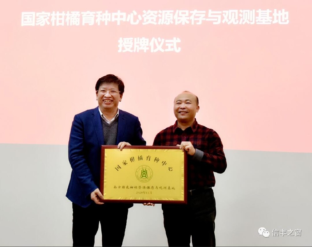 兩塊牌匾！我縣臍橙產(chǎn)業(yè)高質(zhì)量發(fā)展又上新臺階 11月30日，中國工程院副院長、民盟中央副主席、中國科學(xué)技術(shù)協(xié)會副主席、國家現(xiàn)代農(nóng)業(yè)柑橘產(chǎn)業(yè)技術(shù)體系首席科學(xué)家鄧秀新帶領(lǐng)調(diào)研組來到我縣調(diào)研，并出席華中農(nóng)業(yè)大學(xué)與江西綠萌科技控股有限公司簽約儀式、“綠萌果蔬生產(chǎn)智慧裝備研究院”和“國家柑橘育種中心南方特色柑橘資源保