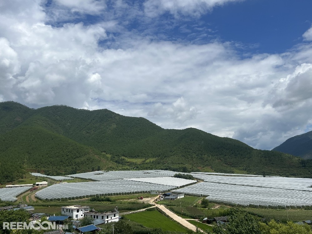 麗江市蘋果種植主產區海拔2400-2700米，良好的立體環境條件造就了麗江蘋果糖度高、果肉緊密、硬度高、無污染的品質特點。2019年，在全國種植產區的甄選中，鑫榮懋選定了云南省麗江市蘋果優勢產區作為未來蘋果種植項目的實施地，目前已種植新西蘭引進的優良蘋果品種。鑫榮懋以新品種、新技術及高品質為發展蘋果種植的新契機，