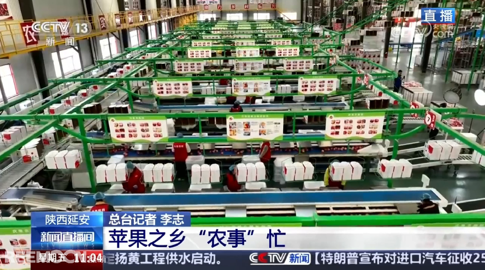 春天是希望的季節陜西延安是我國蘋果的優生區和主產區蘋果之鄉正呈現出一片繁忙的景象3月28日，CCTV13新聞頻道聚焦陜西延安蘋果產業發展展現中國農業現代化與鄉村振興的生動實踐PART.01智能分選線：給蘋果做“體檢”，助力果農增收致富延安甘泉縣分揀車間內綠萌智能分選設備高效運轉通過人工智能和圖像處理技術對傳送帶上的